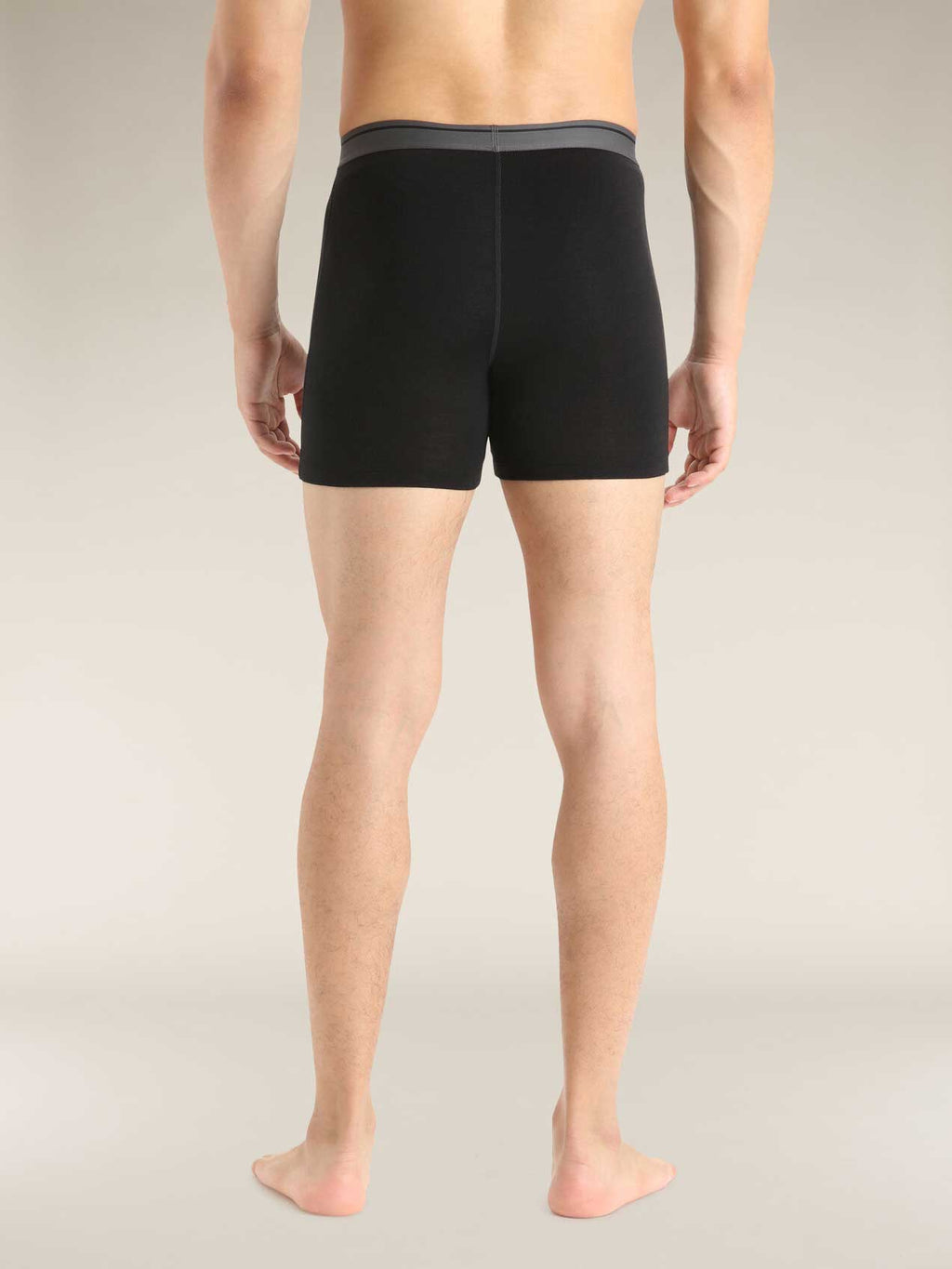 ICEBREAKER Боксерки M Anatomica