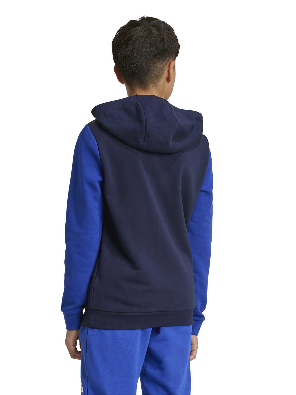 ADIDAS SPORTSWEAR Суитшърт Junior Essentials Big Logo Colorblock