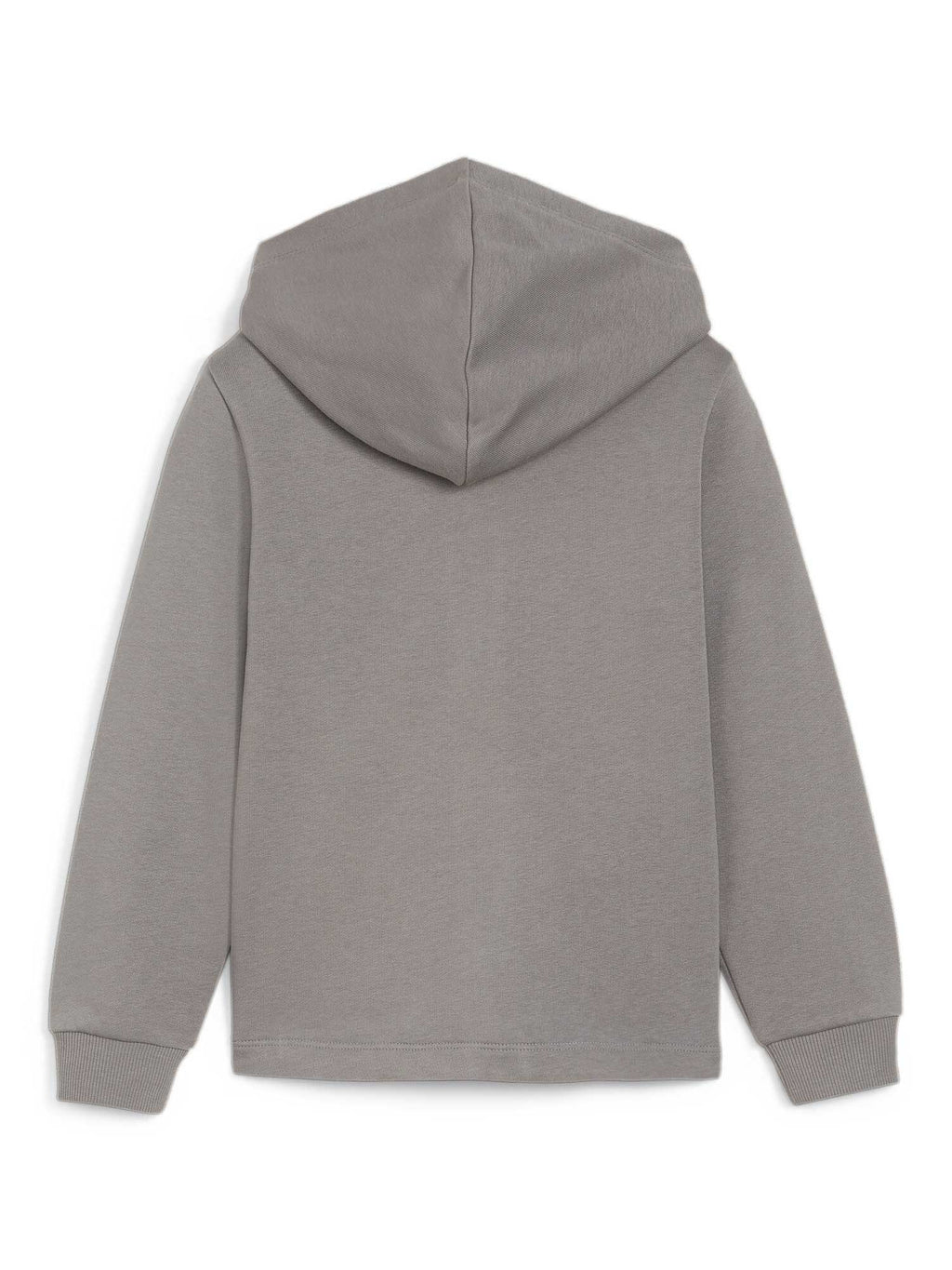 PUMA Суитшърт ESS+ SUMMER CAMP Full-Zip Hoodie TR