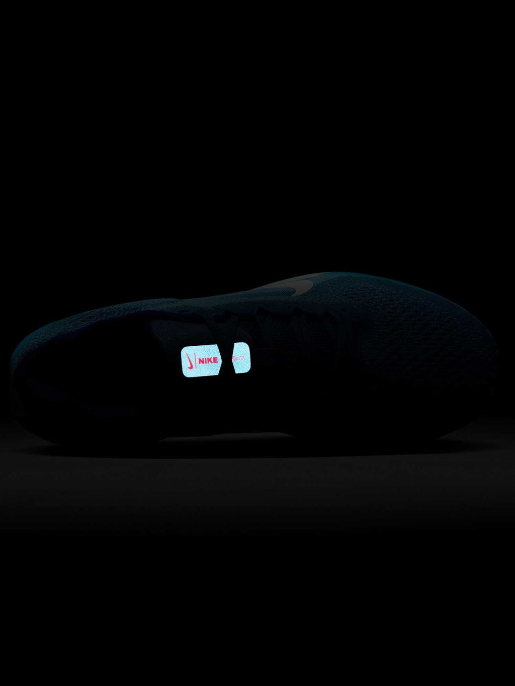 NIKE Обувки AIR WINFLO 11