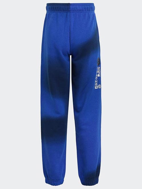 ADIDAS SPORTSWEAR Спортно долнище ARKD3 Cargo