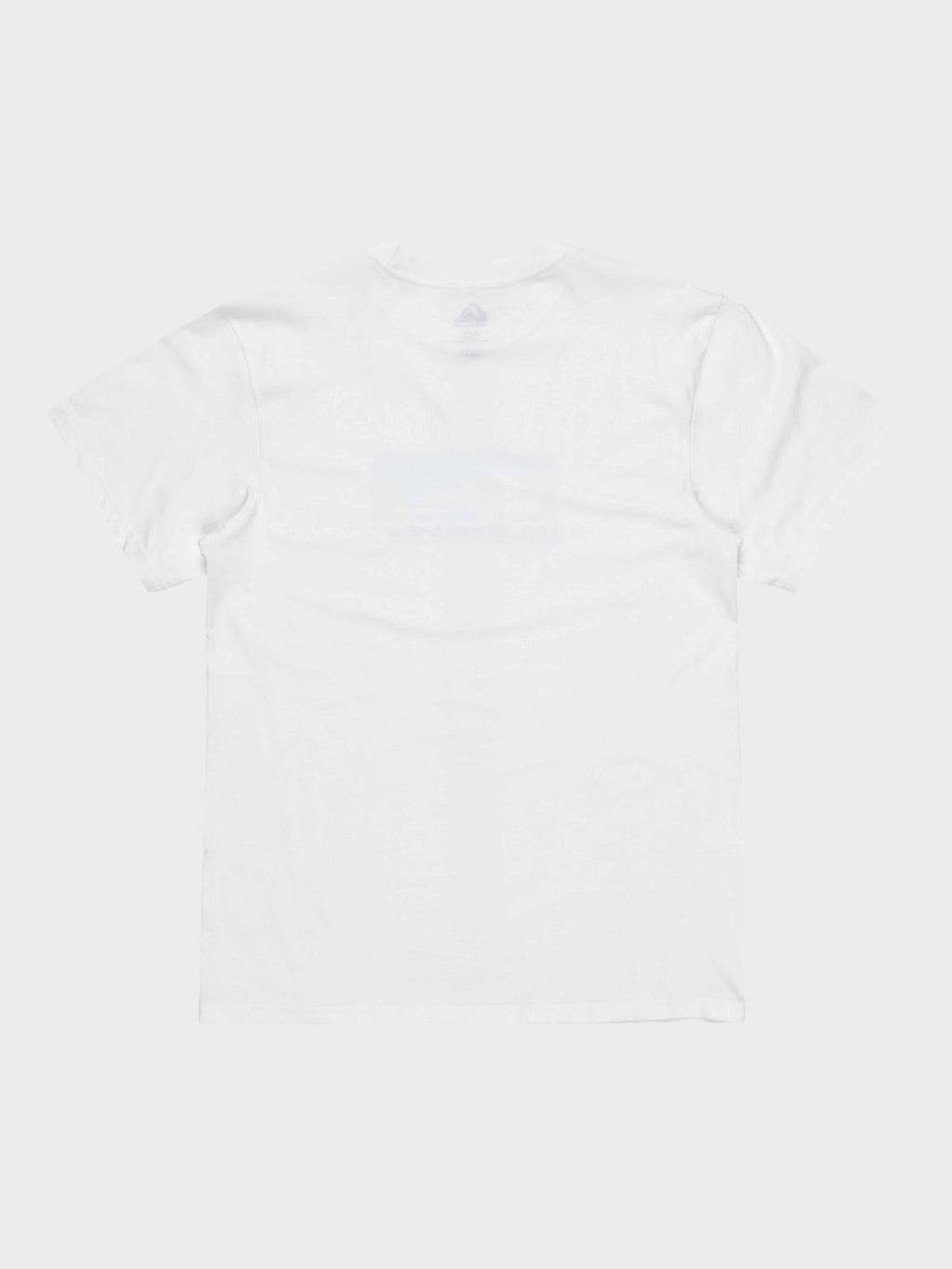 QUIKSILVER Тениска EV GRADIENT BOX SS