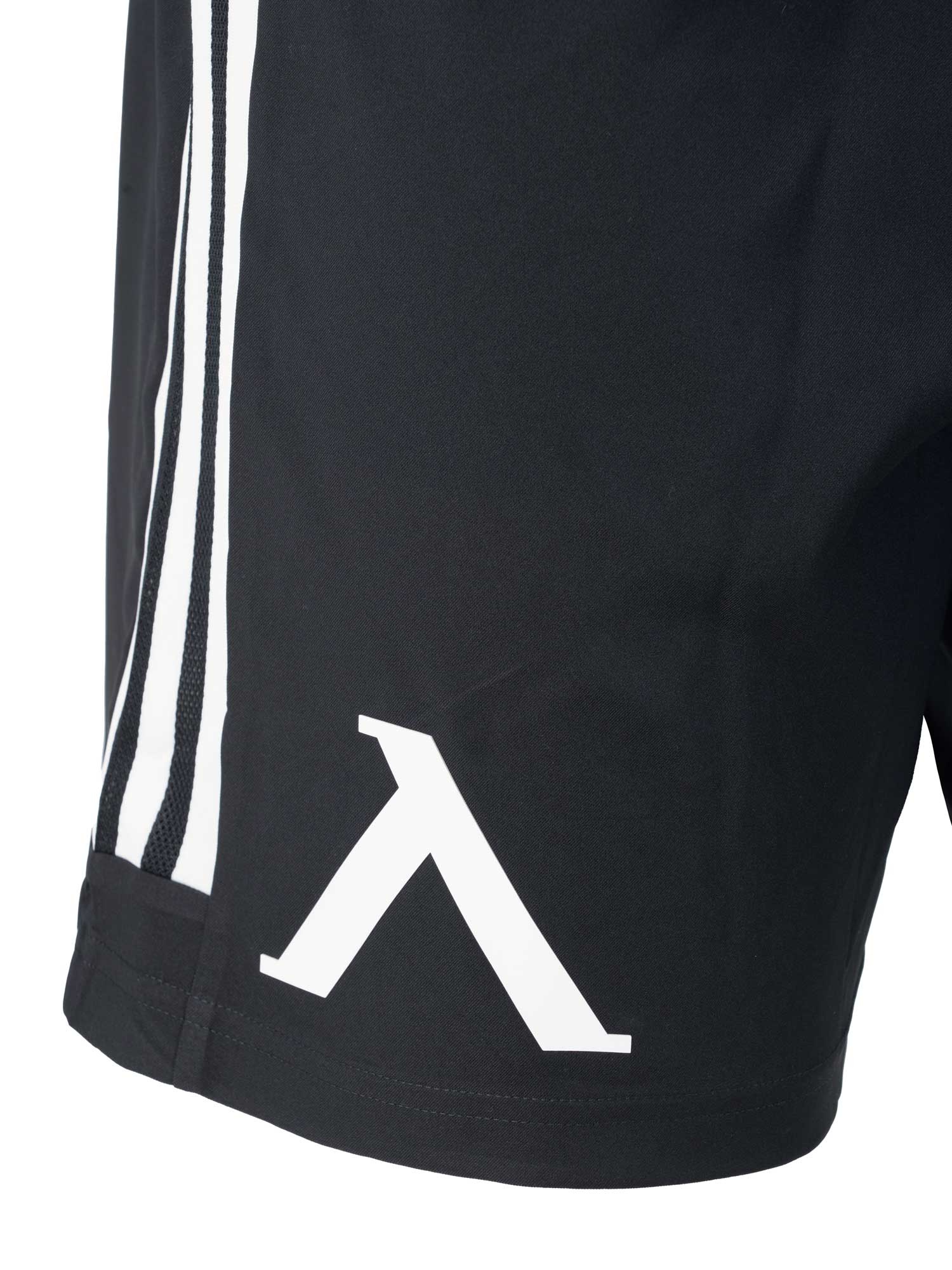 LEVSKI ЛЕВСКИ Match Shorts black