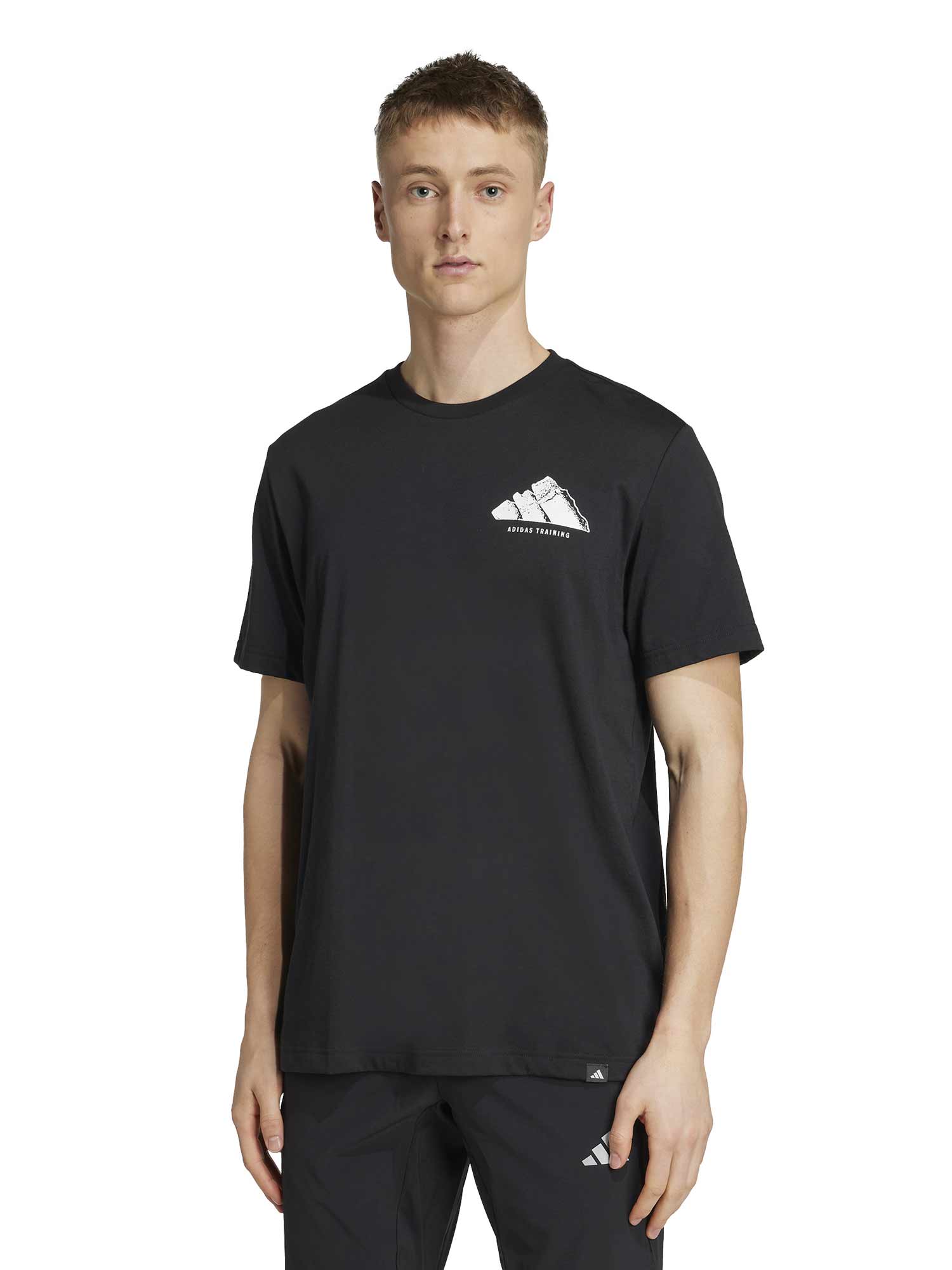 ADIDAS PERFORMANCE Тениска CLIMACOOL Vintage Training Graphic T-Shirt