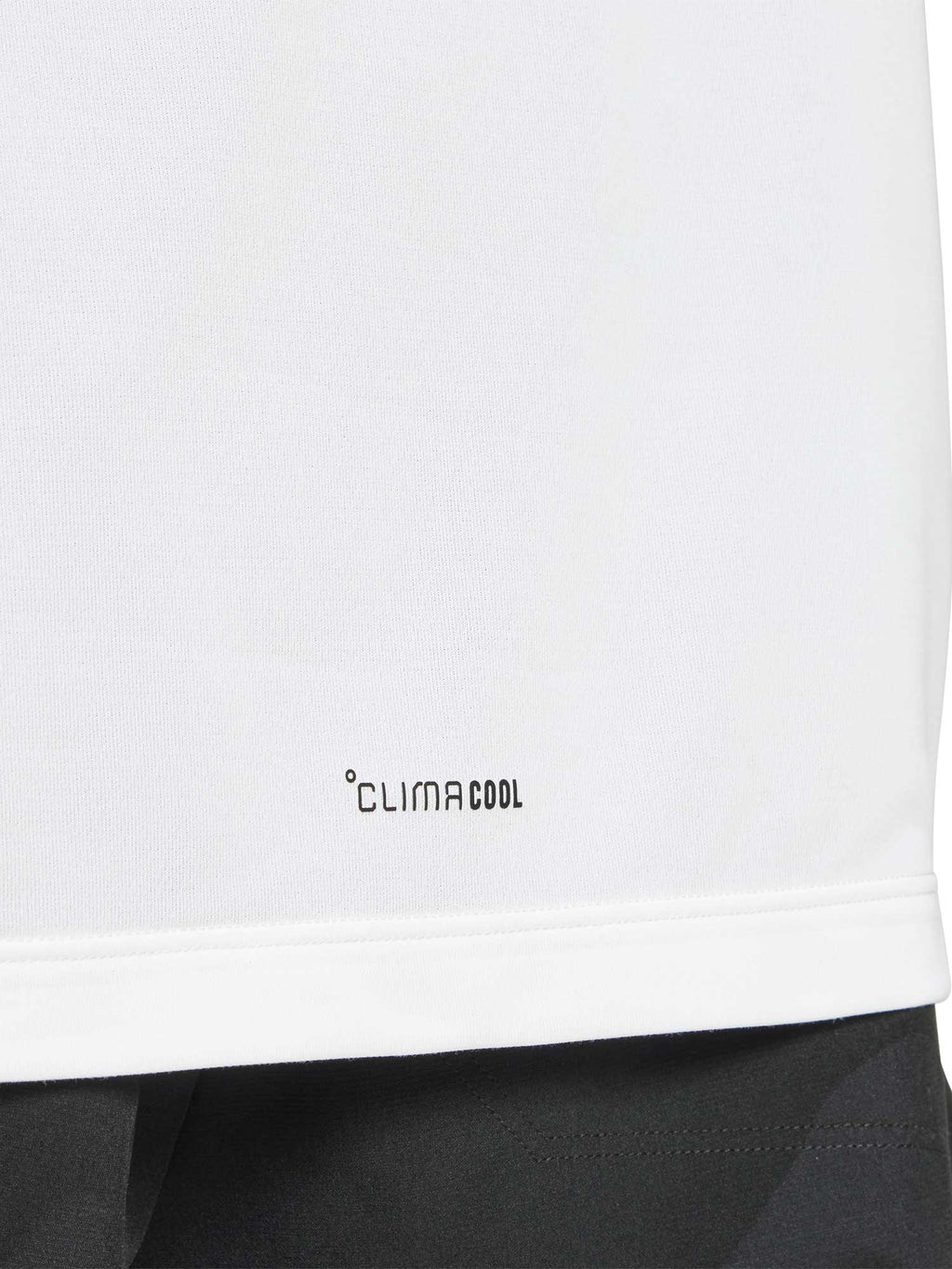 ADIDAS PERFORMANCE Тениска Terrex Multi Climacool Logo Tech T-Shirt