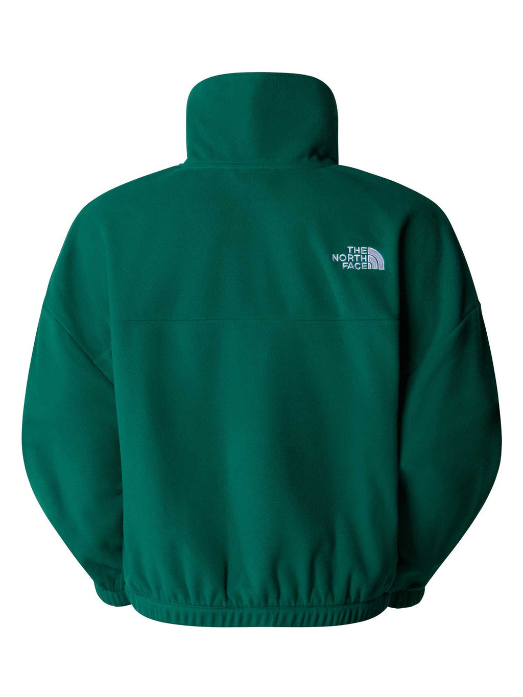 THE NORTH FACE Полар W 100 GLACIER HALF ZIP FLEECE