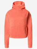 THE NORTH FACE Суитшърт W CNYNLNDS PO CROP