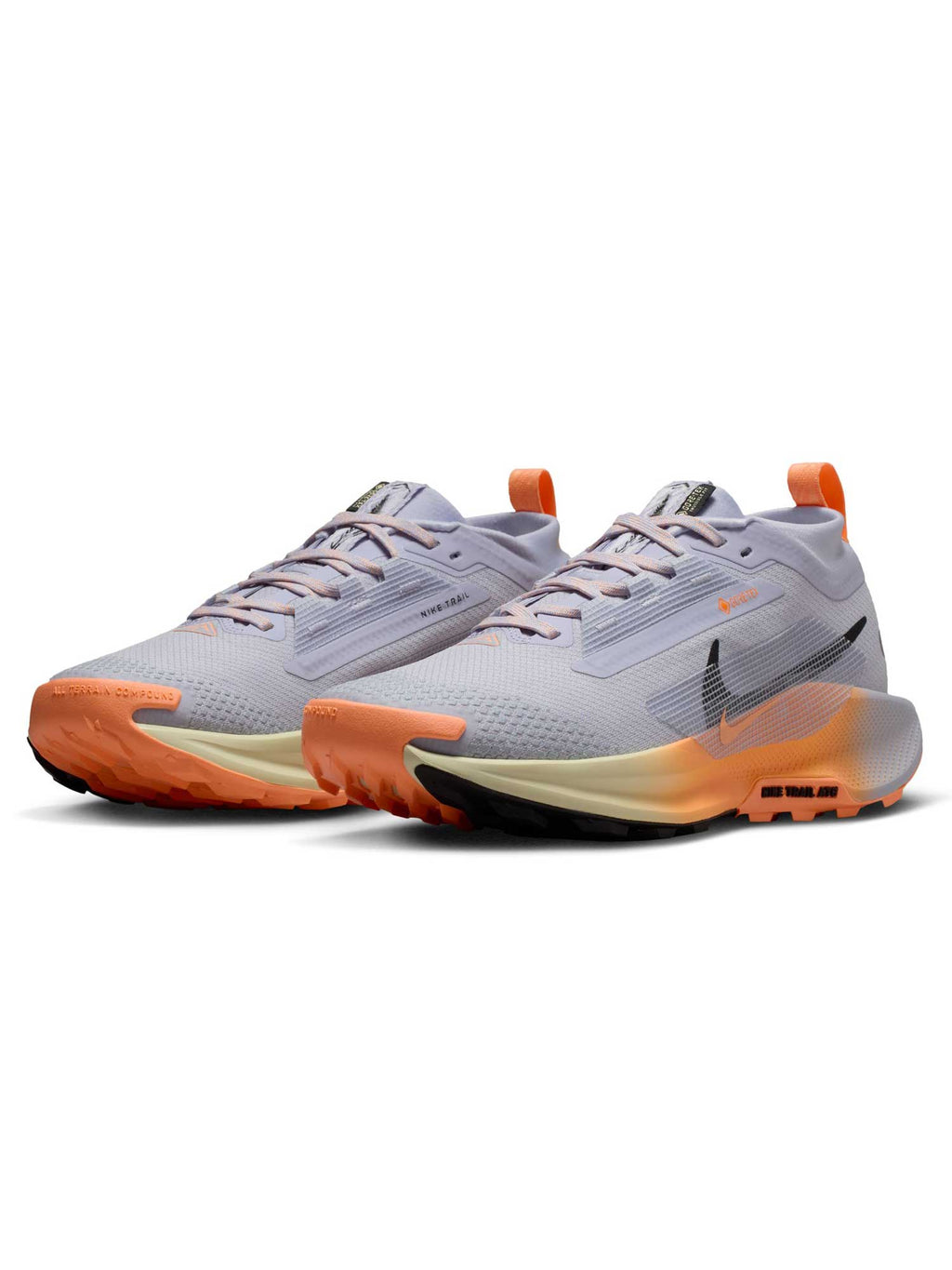 NIKE Обувки W PEGASUS TRAIL 5 GTX