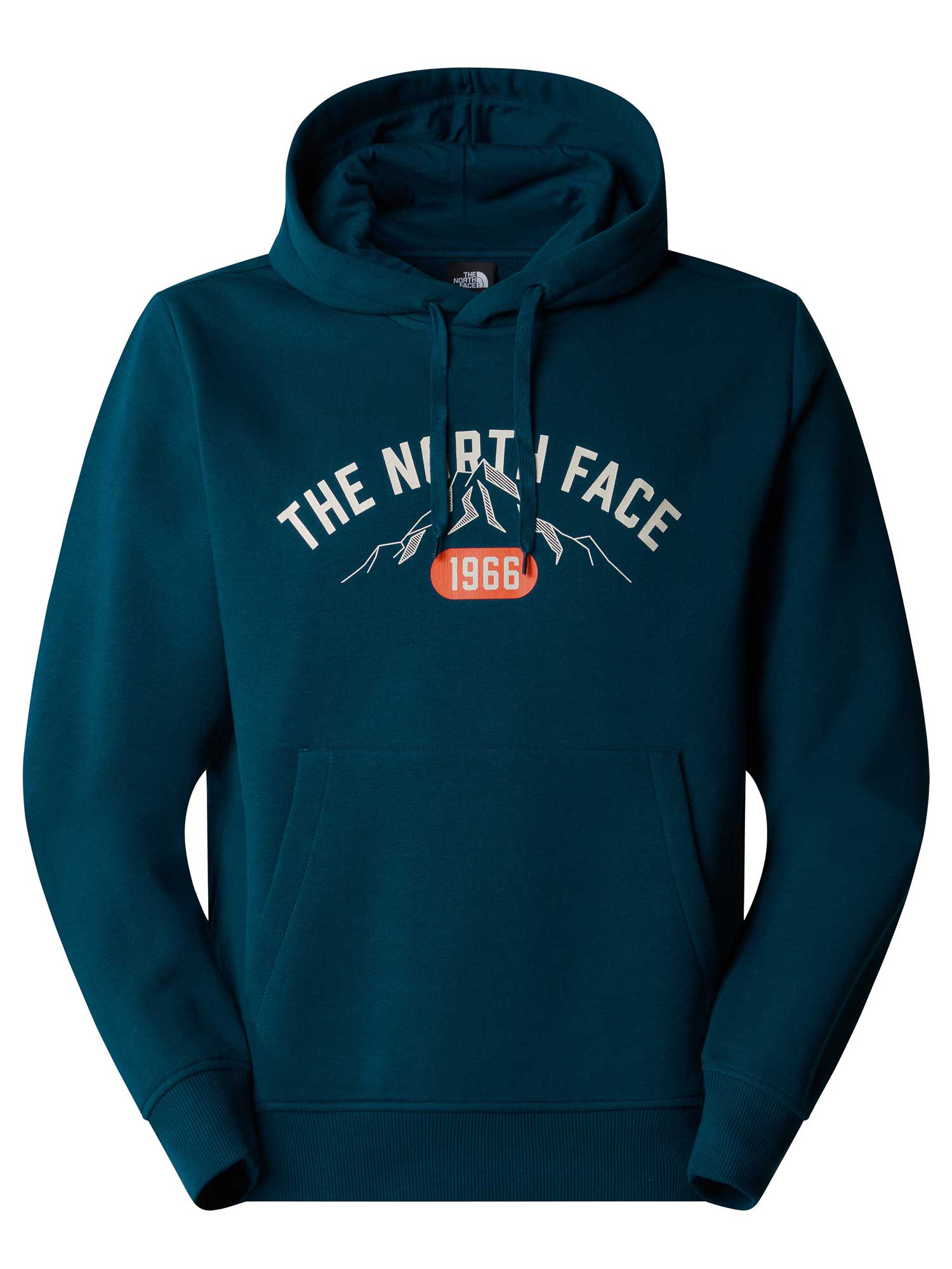 THE NORTH FACE Суитшърт M HOODIE VARSITY GRAPHIC