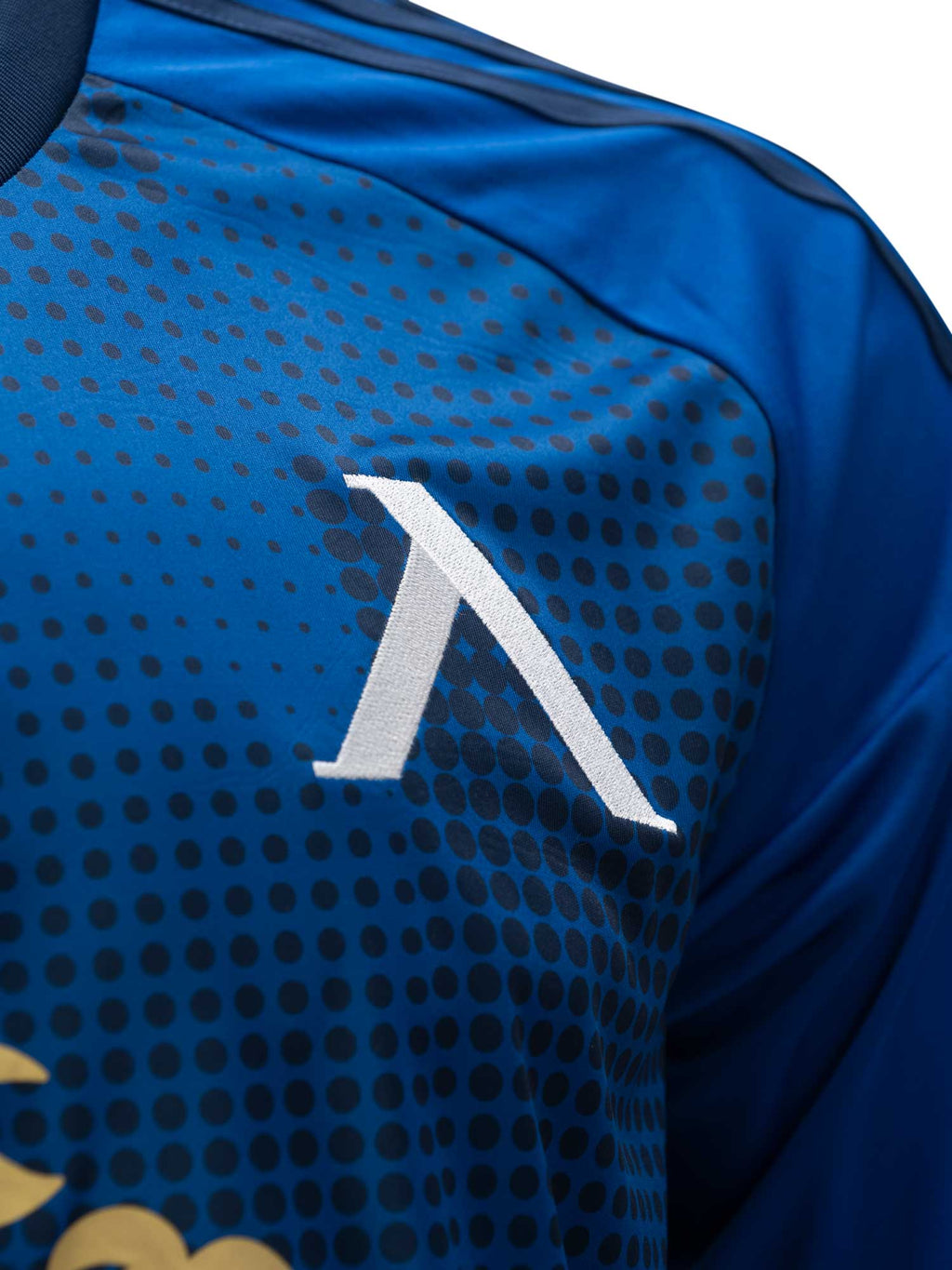 LEVSKI Levski Home Blue Jersey 25/26