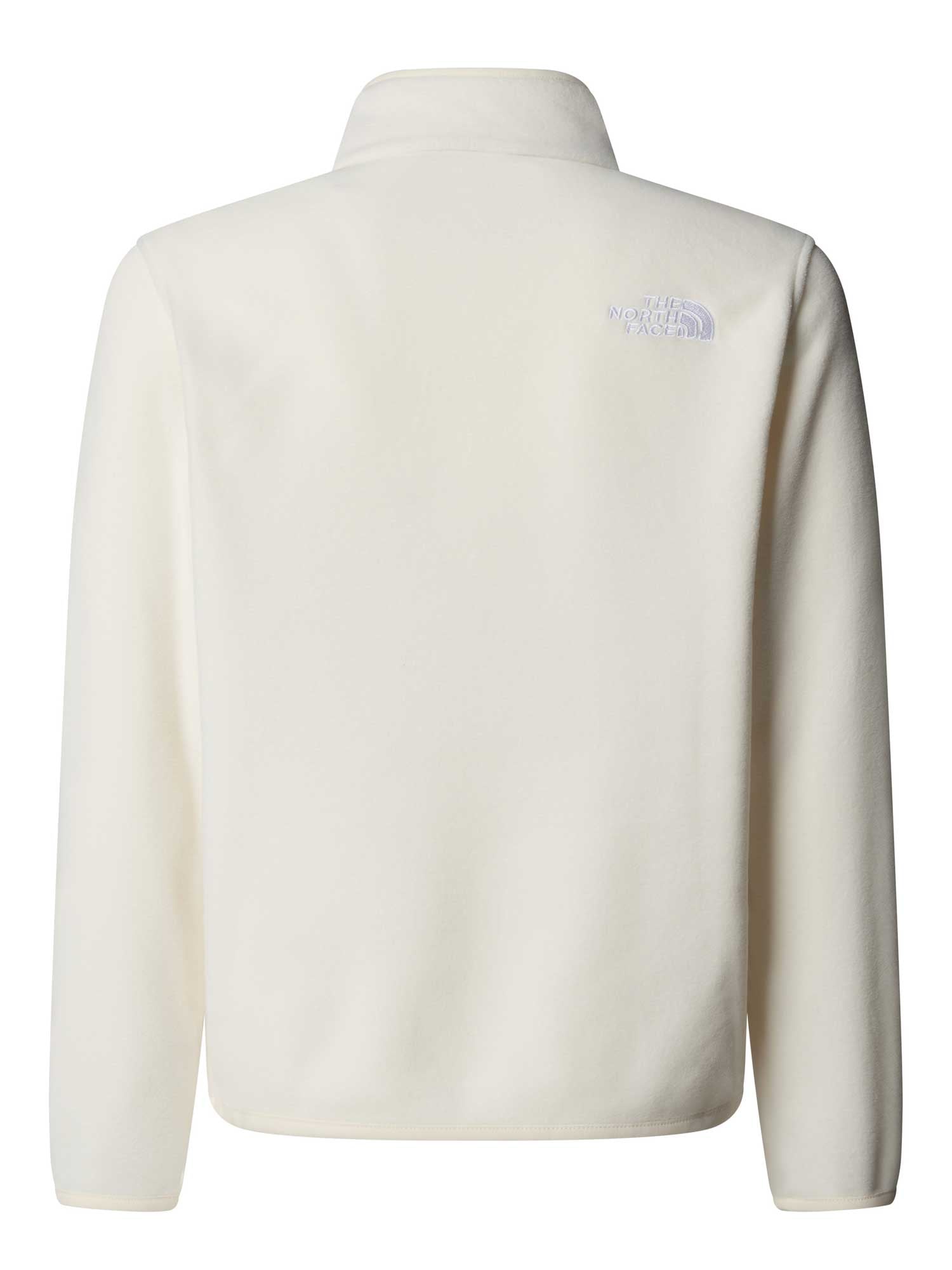 THE NORTH FACE Полар TEEN GLACIER 1/4 ZIP PULLOVER GLACIER