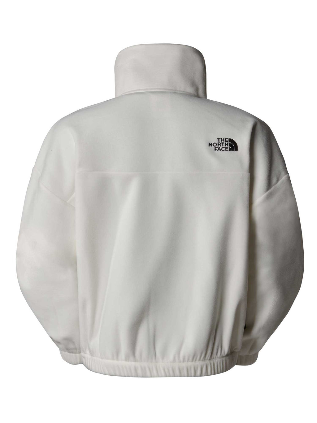 THE NORTH FACE Полар W 100 GLACIER HALF ZIP FLEECE