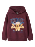 NAME IT Суитшърт NKFRYCCA LS NREG SWEAT WH BRU BOX