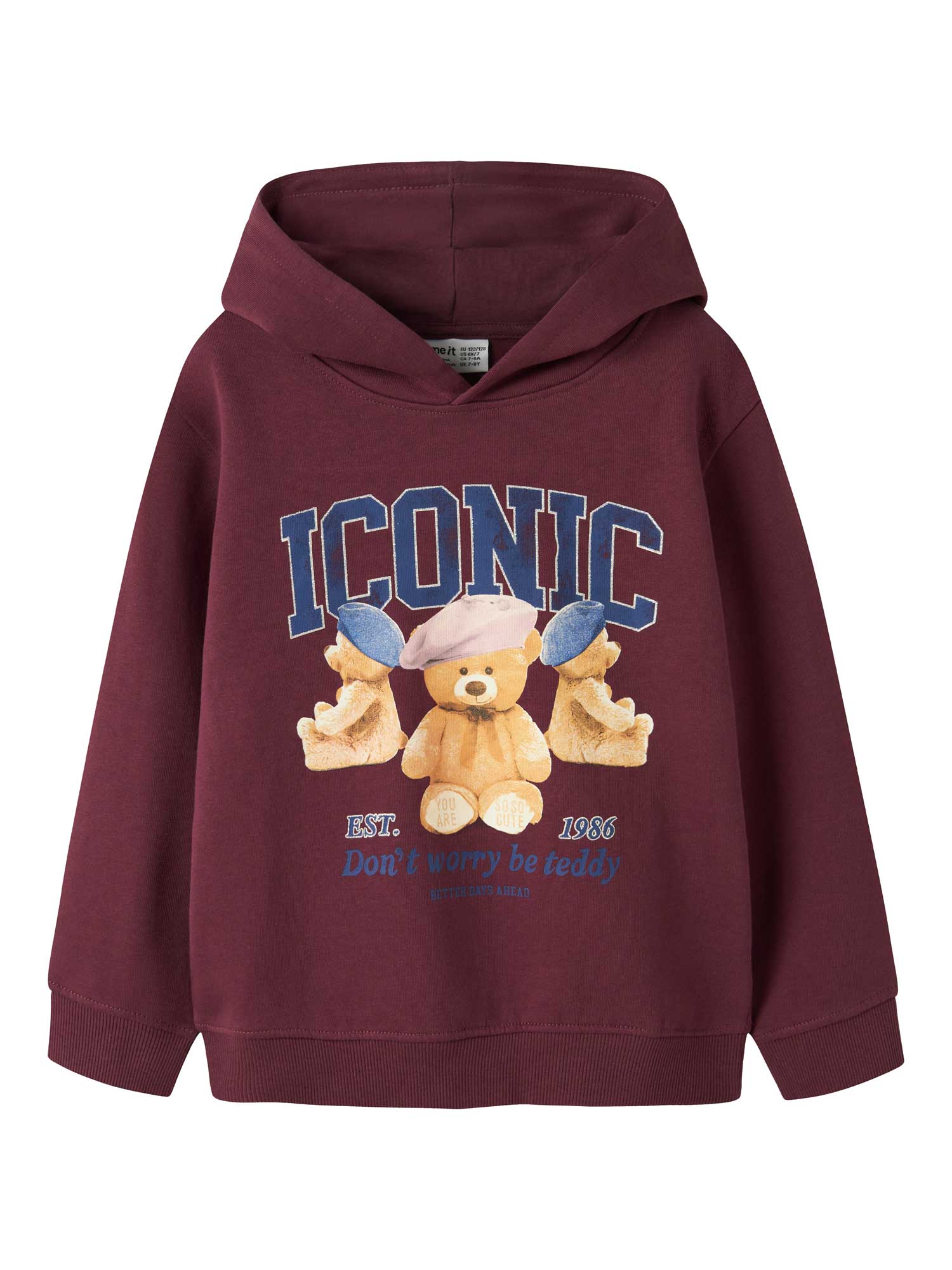 NAME IT Суитшърт NKFRYCCA LS NREG SWEAT WH BRU BOX