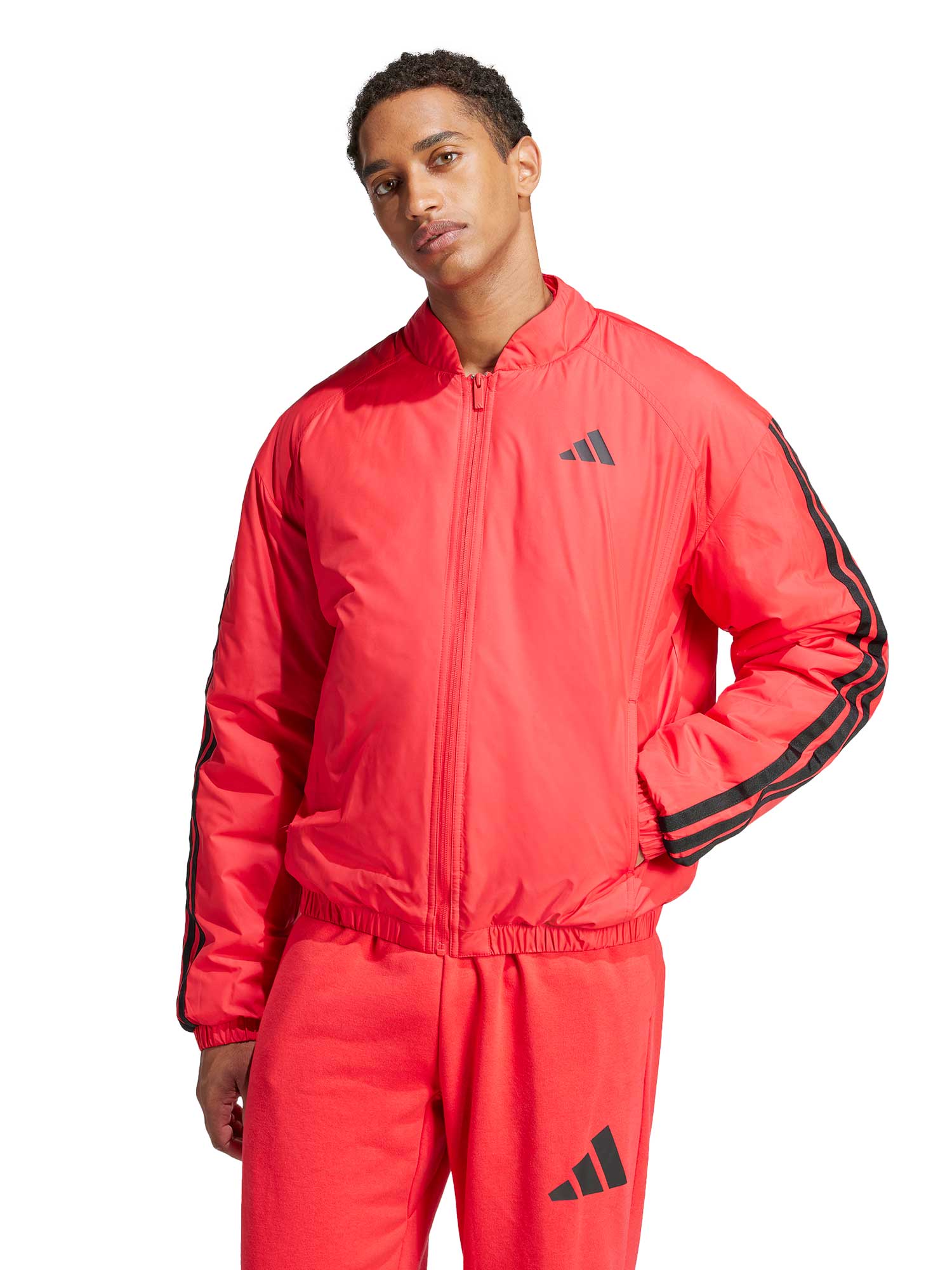 ADIDAS SPORTSWEAR Яке Essentials 3-Stripes Insulated Bomber