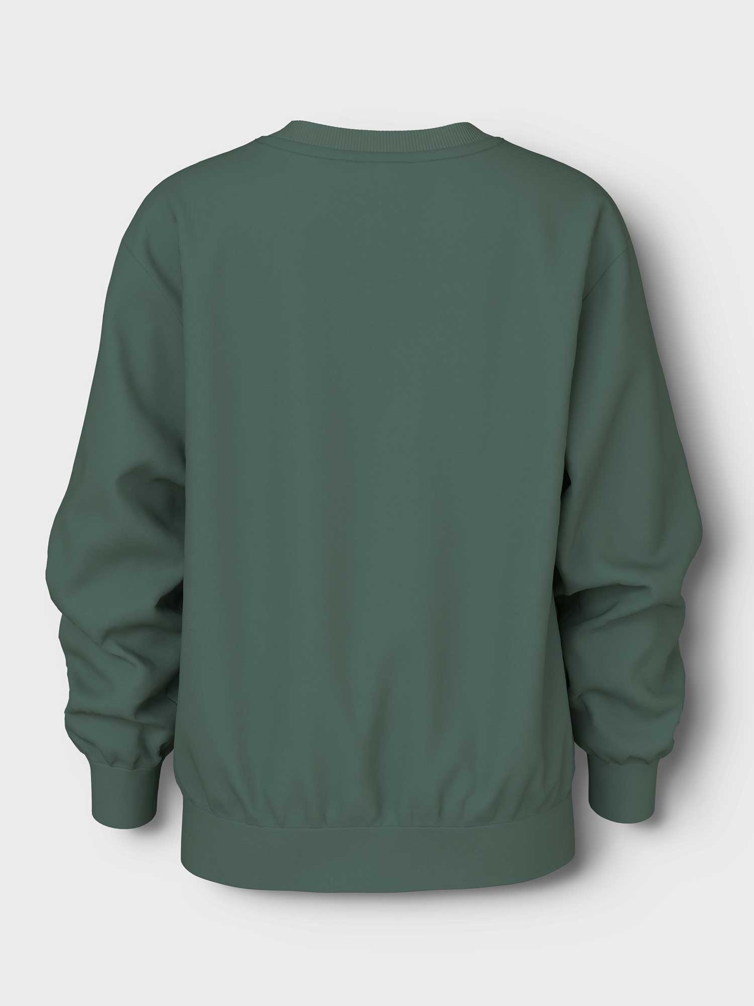NAME IT Блуза NKMVILDAR LS NREG SWEAT BRU