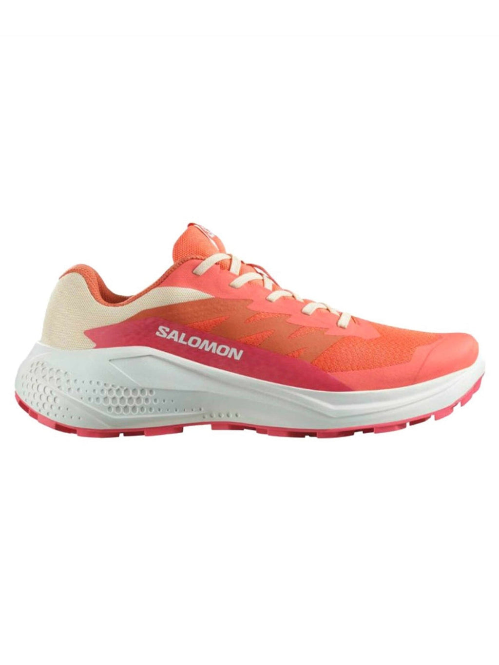 SALOMON Обувки ALPHAGLIDE W