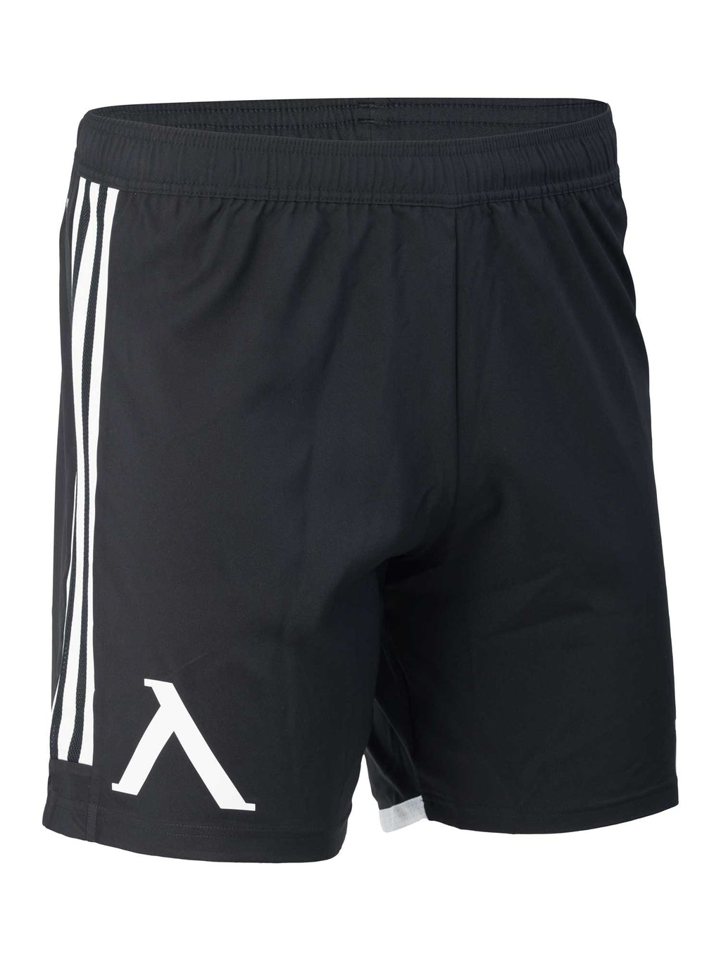 LEVSKI ЛЕВСКИ Match Shorts black