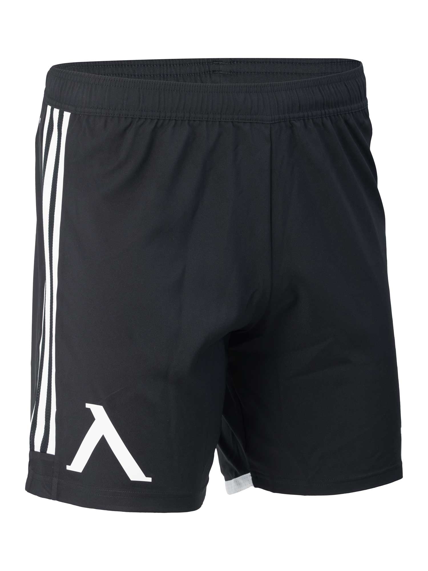 LEVSKI ЛЕВСКИ Match Shorts black