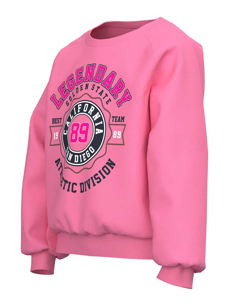 NAME IT Блуза NKFVENUS LS SWEAT BRU O1