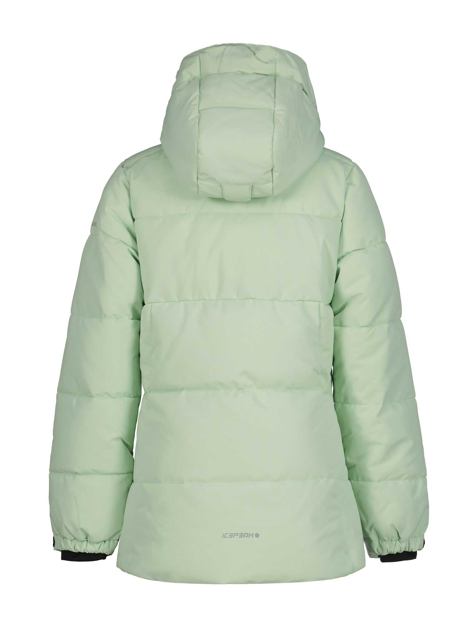 ICEPEAK Яке LORIS JR