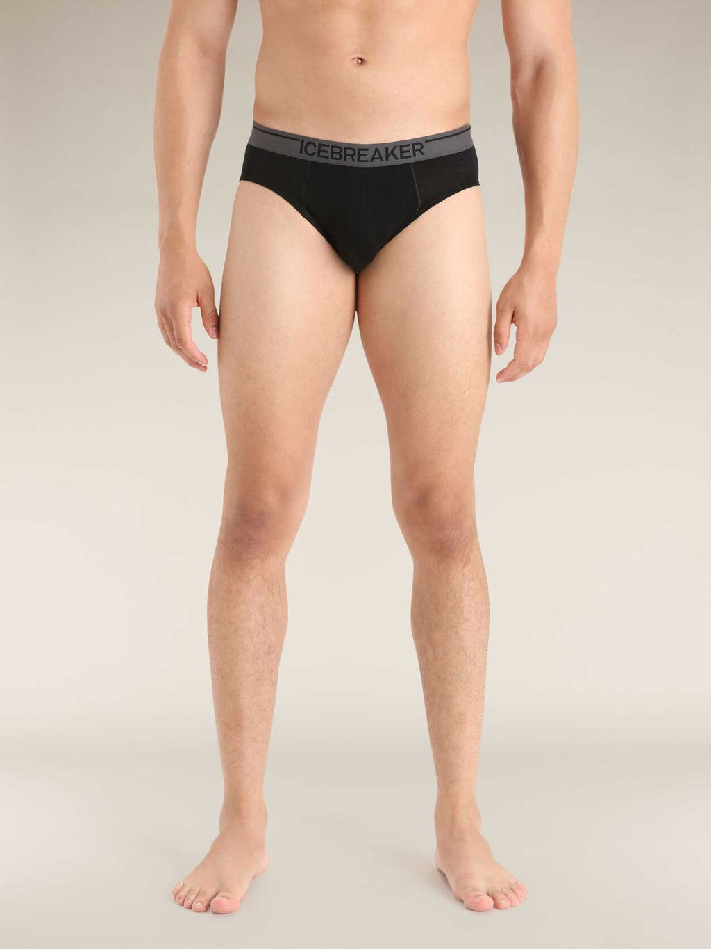 ICEBREAKER Бельо M Anatomica Briefs