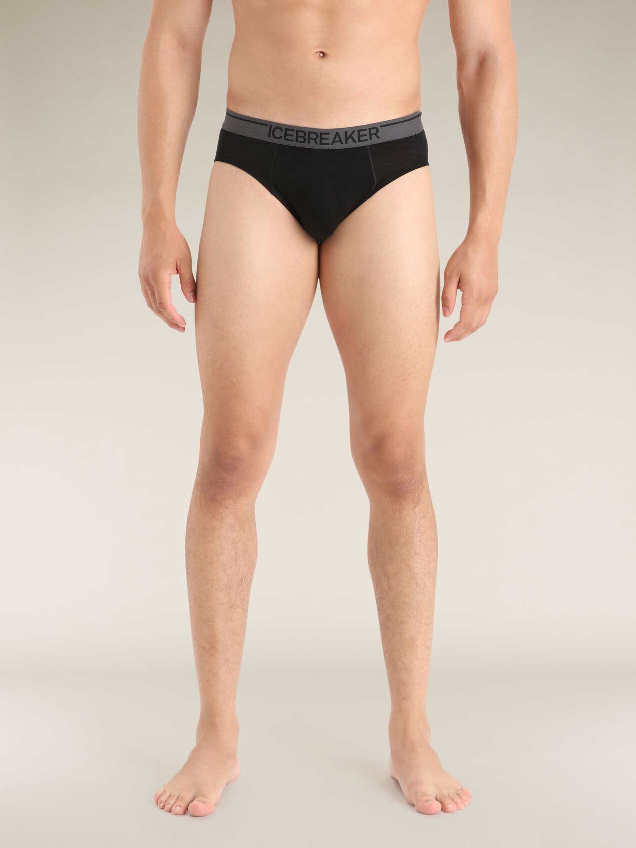 ICEBREAKER Бельо M Anatomica Briefs