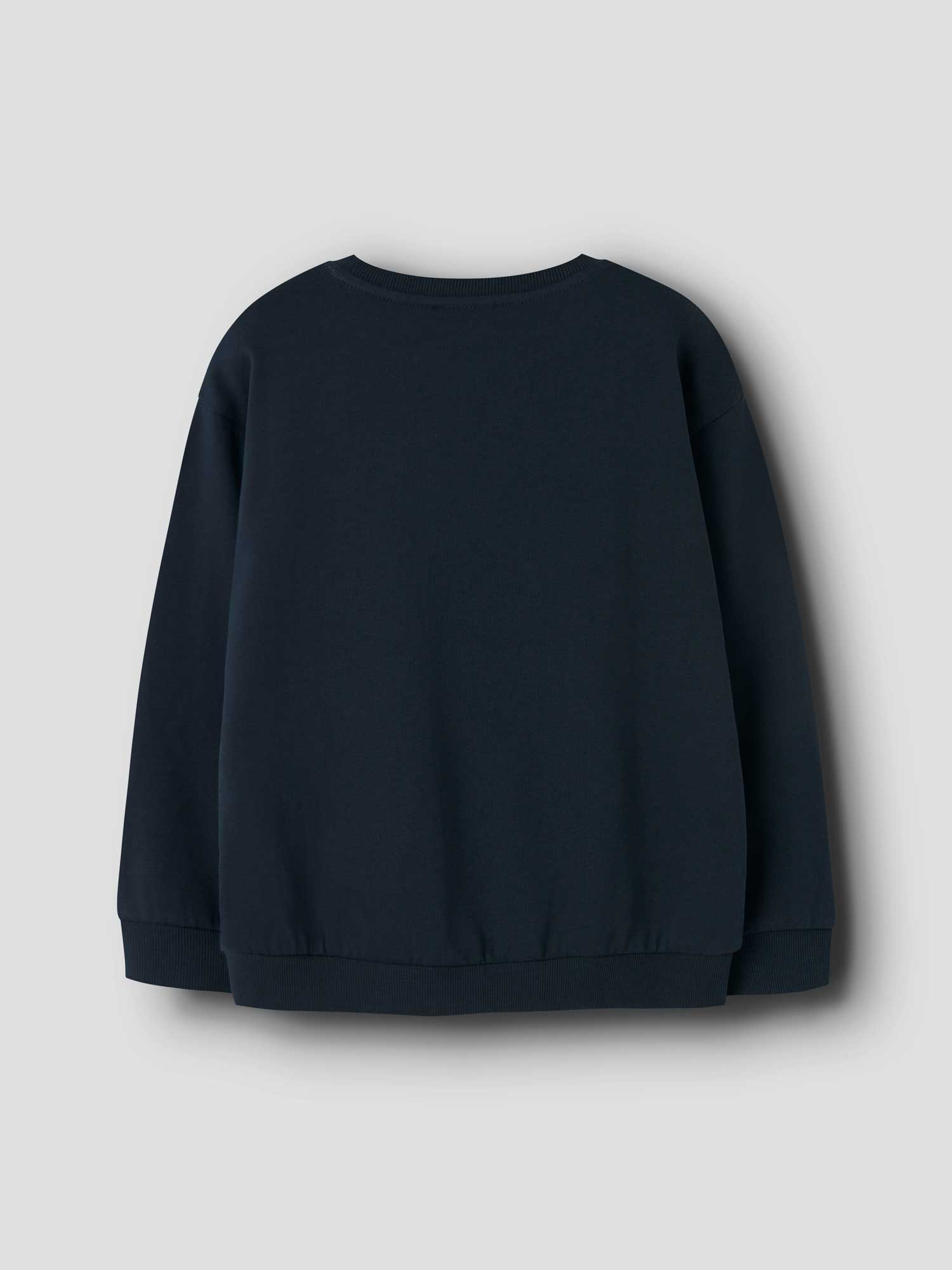 NAME IT Блуза NKMVILDAR LS NREG SWEAT BRU
