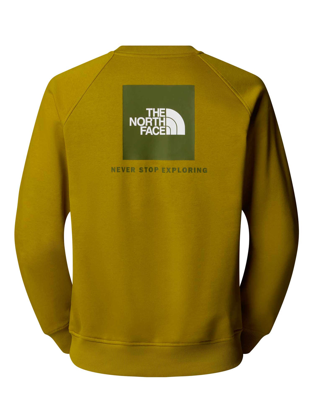 THE NORTH FACE Блуза M RAGLAN BOX NSE REGULAR CREW