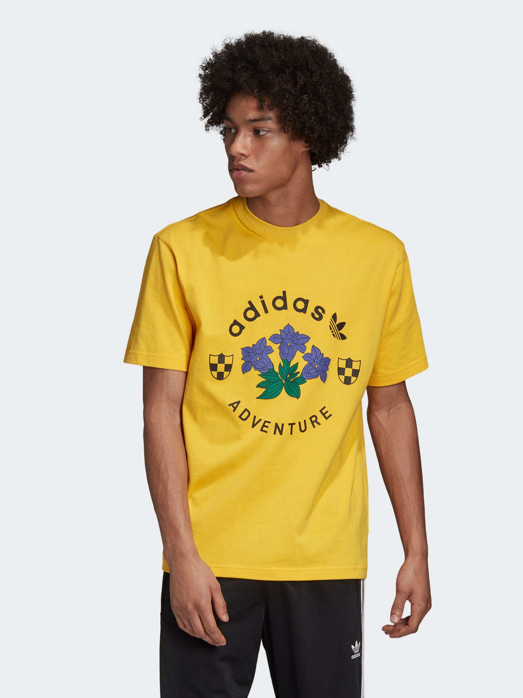 ADIDAS ORIGINALS Тениска ADV GRAPHIC