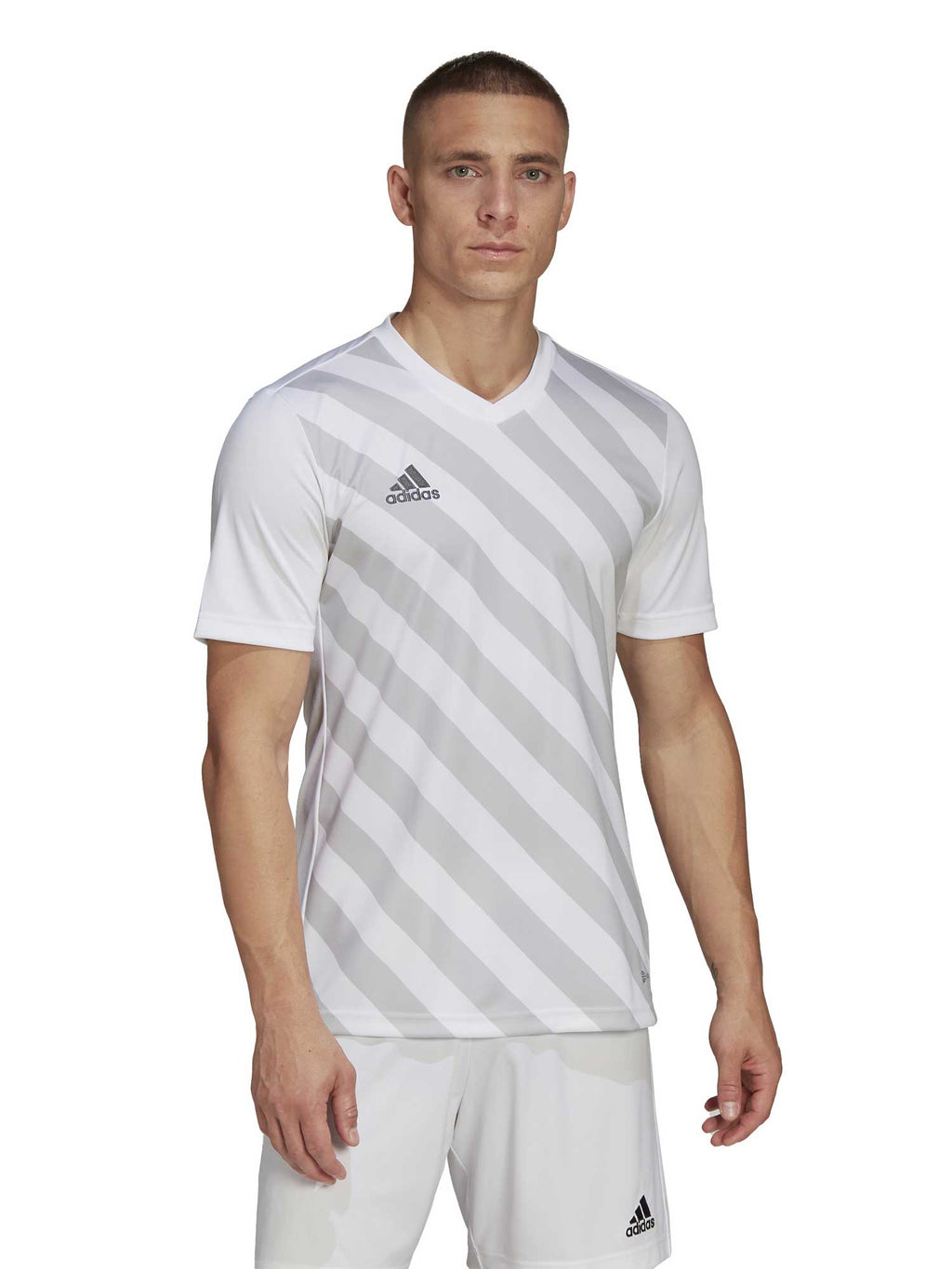 ADIDAS PERFORMANCE Тениска Entrada 22 Graphic Jersey