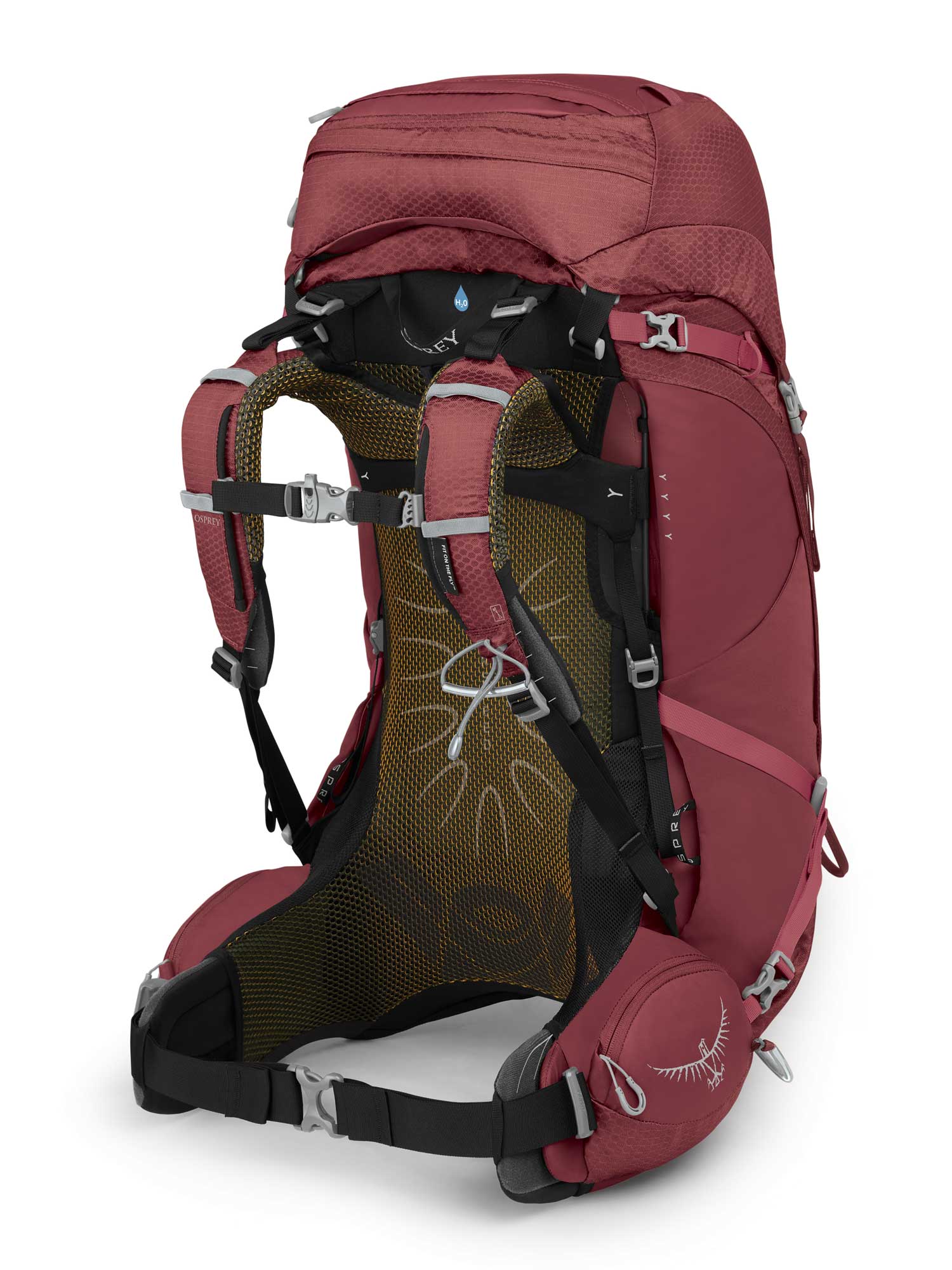 OSPREY Раница Aura AG 50