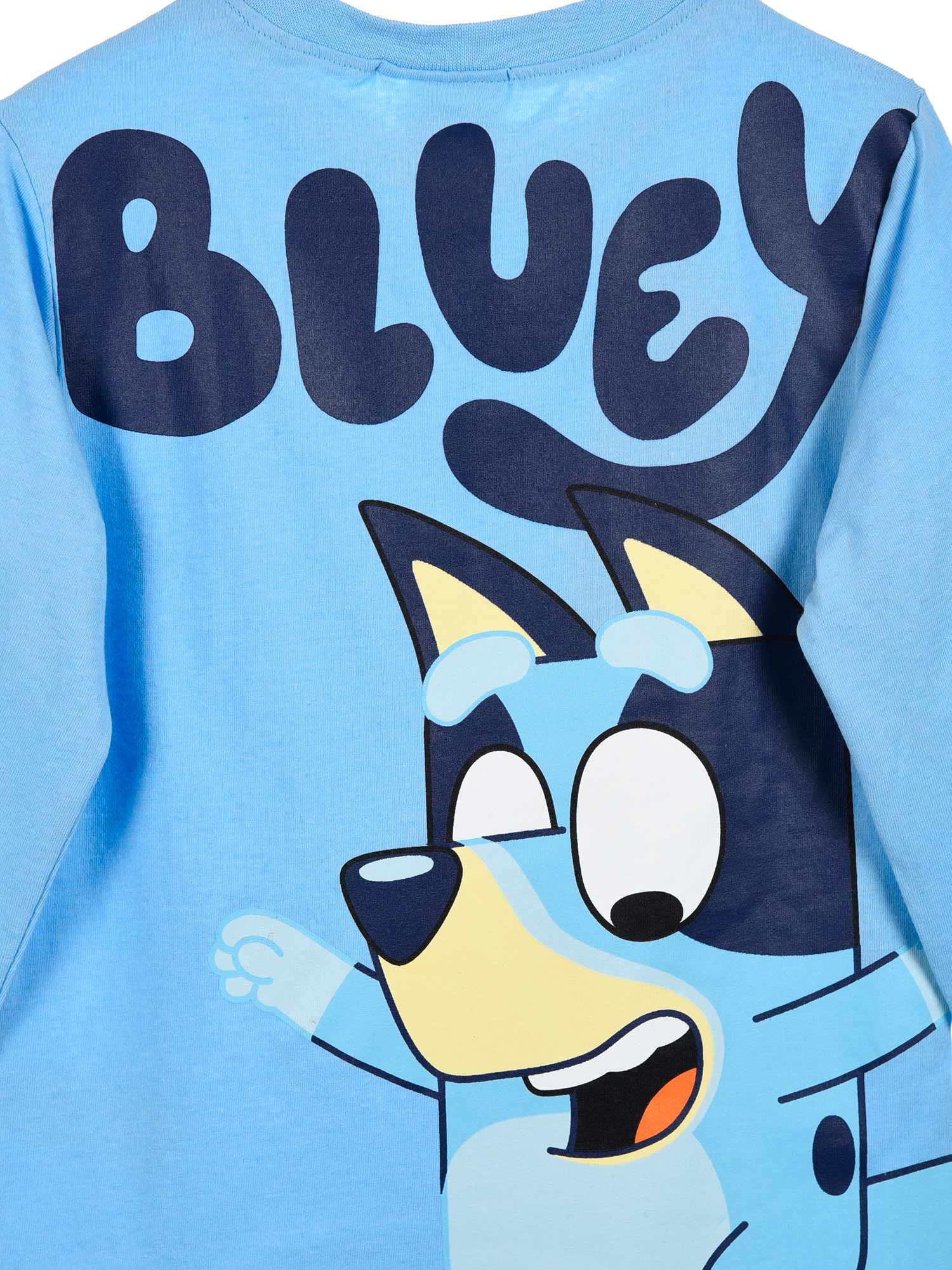 KIDS MOVIE HEROES Блуза Bluey